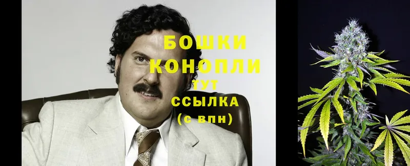 Каннабис гибрид  Йошкар-Ола 